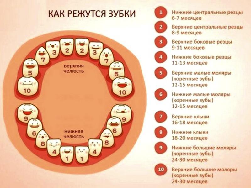 Прорезывание зубов у детей до года, температура при прорезывании