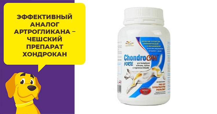 «артрогликан»: состав, инструкция, побочные действия