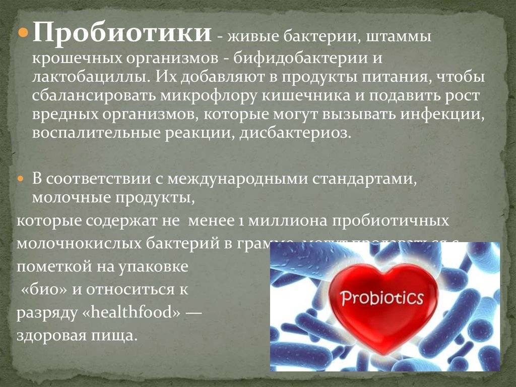 Молочнокислые бактерии: это что такое и в чем их польза