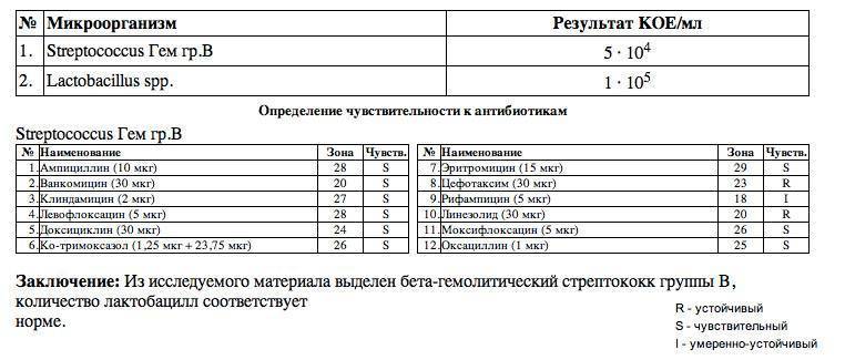 Что означает появление бактерий в моче, как лечится бактериурия?